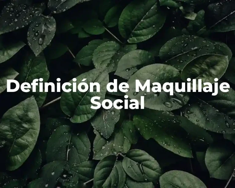 Definición de Maquillaje Social