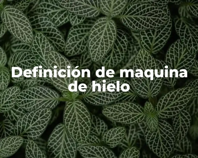 Definición de maquina de hielo