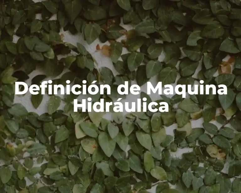 Definición de Maquina Hidráulica