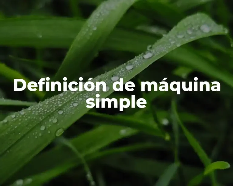 Definición de máquina simple