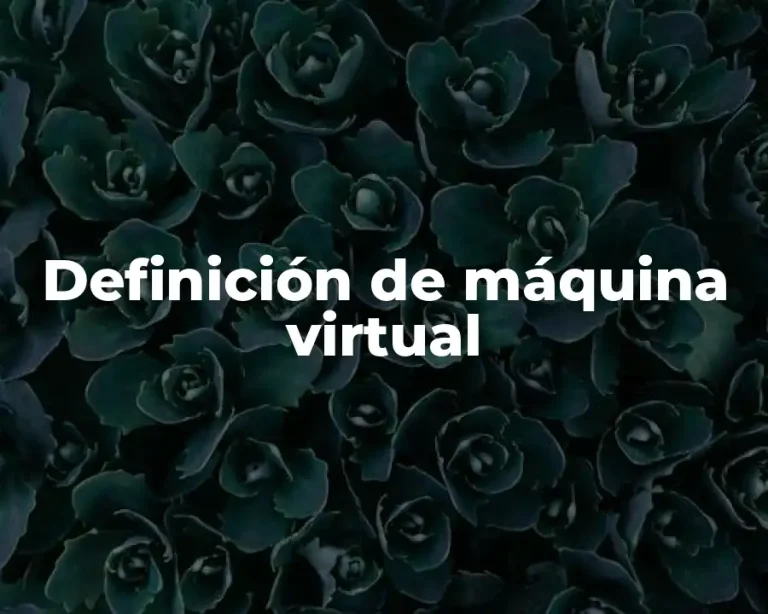 Definición de máquina virtual