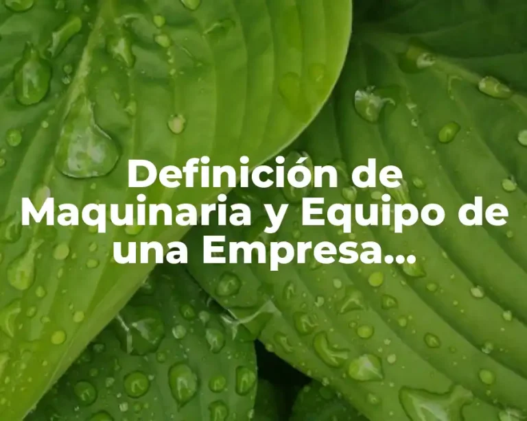 Definición de Maquinaria y Equipo de una Empresa Manufacturera