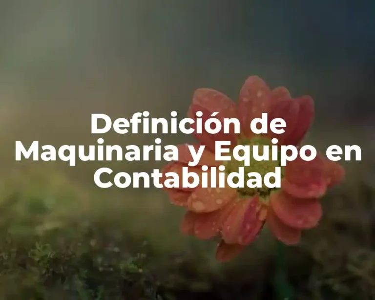 Definición de Maquinaria y Equipo en Contabilidad