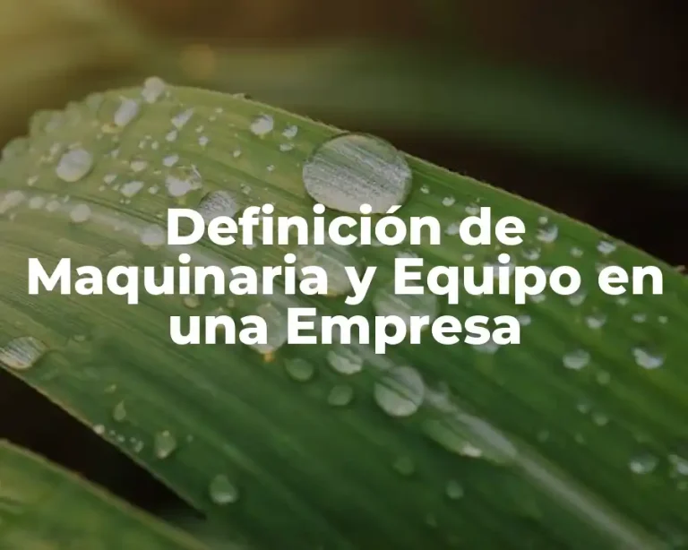 Definición de Maquinaria y Equipo en una Empresa