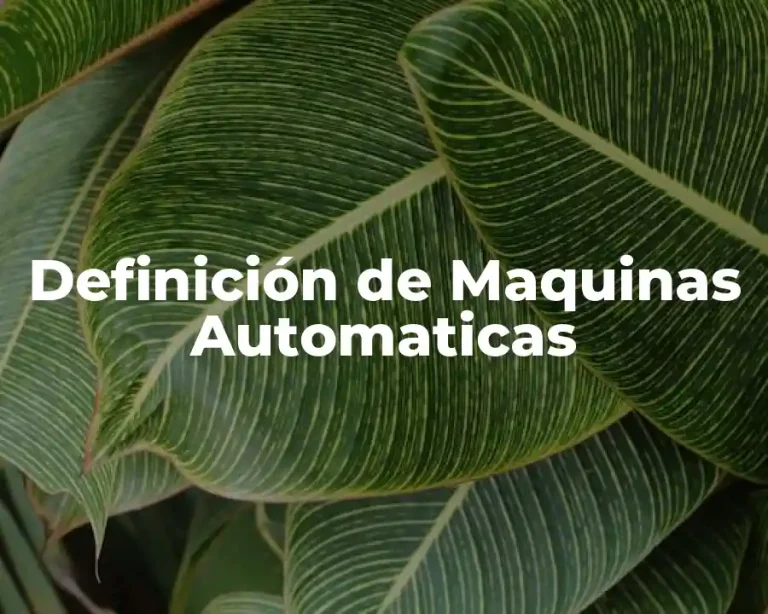 Definición de Maquinas Automaticas