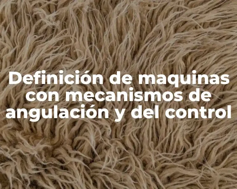 Definición de maquinas con mecanismos de angulación y del control