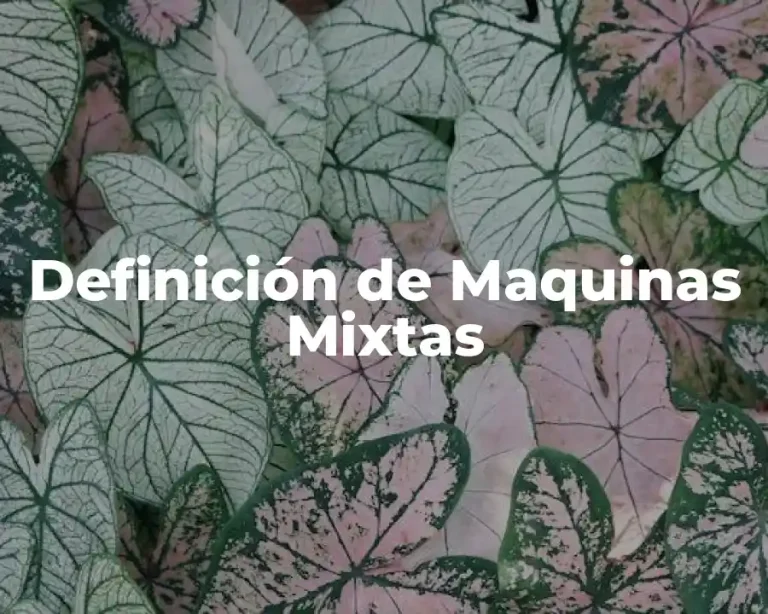 Definición de Maquinas Mixtas