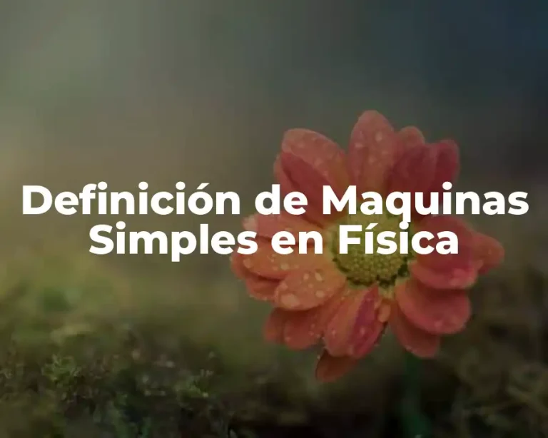Definición de Maquinas Simples en Física