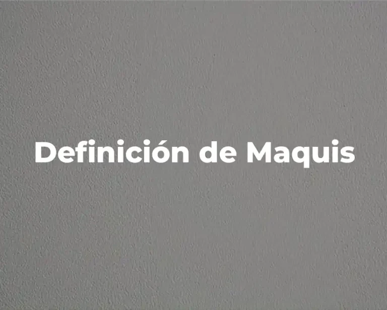 Definición de Maquis