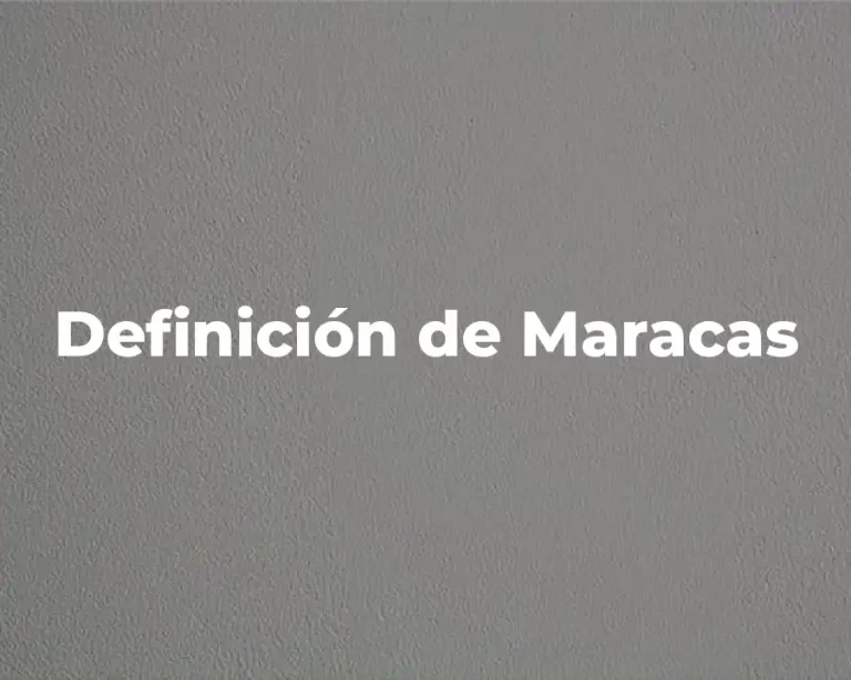 Definición de Maracas