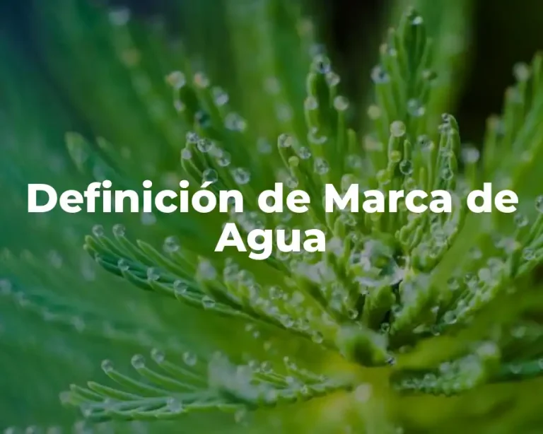Definición de Marca de Agua