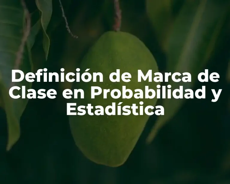 Definición de Marca de Clase en Probabilidad y Estadística