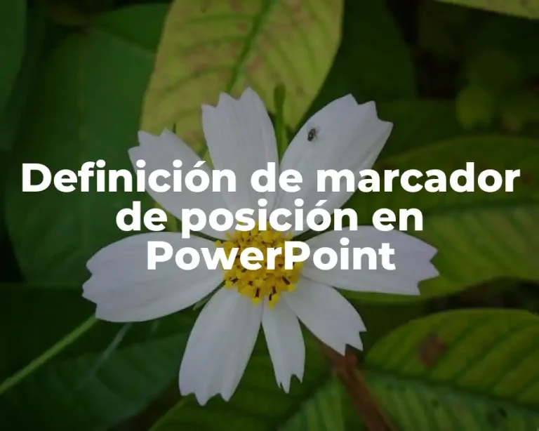 Definición de marcador de posición en PowerPoint