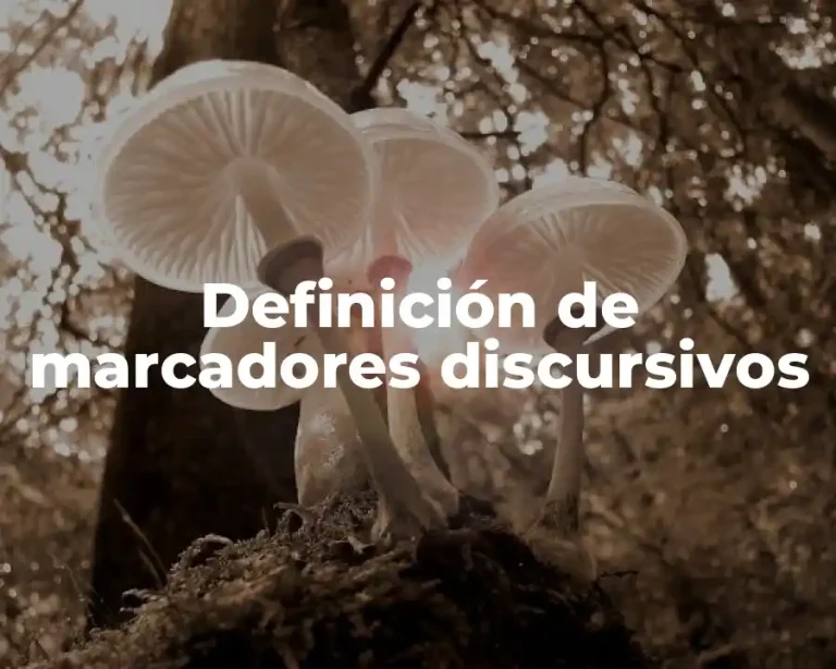 Definición de marcadores discursivos