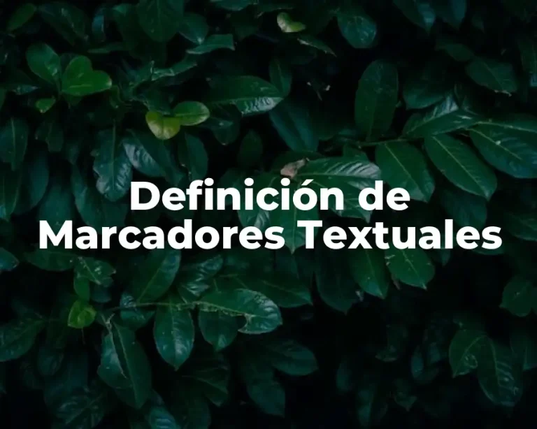 Definición de Marcadores Textuales