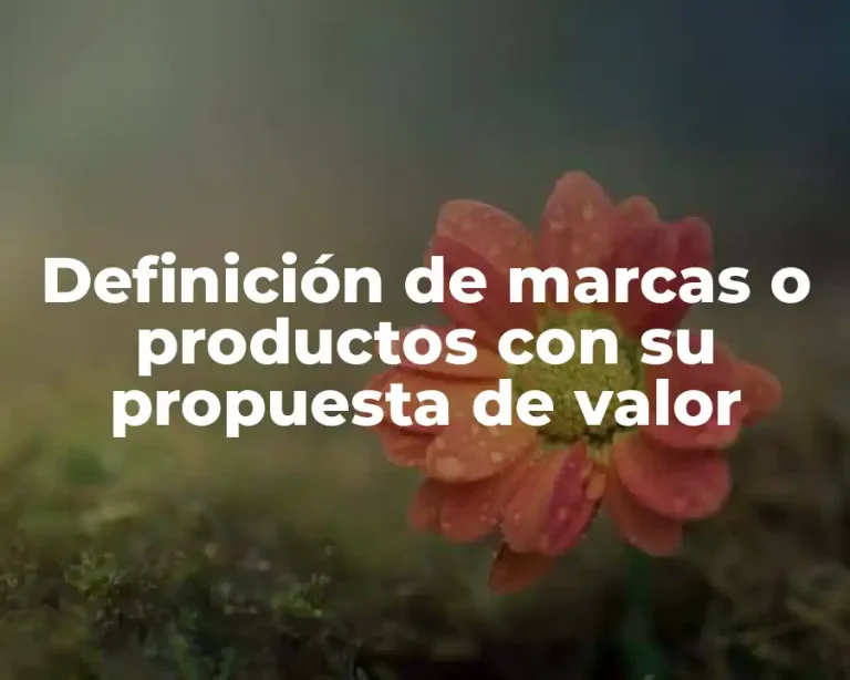 Definición de marcas o productos con su propuesta de valor