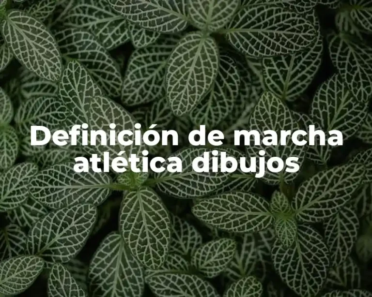 Definición de marcha atlética dibujos