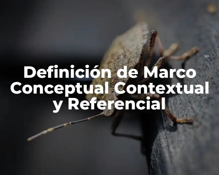 Definición de Marco Conceptual Contextual y Referencial