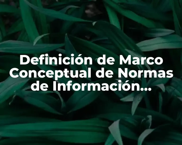 Definición de Marco Conceptual de Normas de Información Financiera