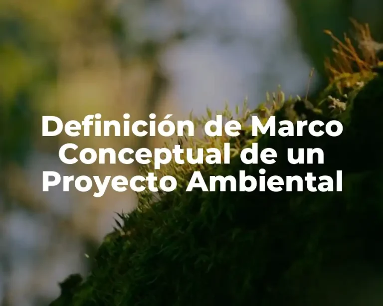 Definición de Marco Conceptual de un Proyecto Ambiental