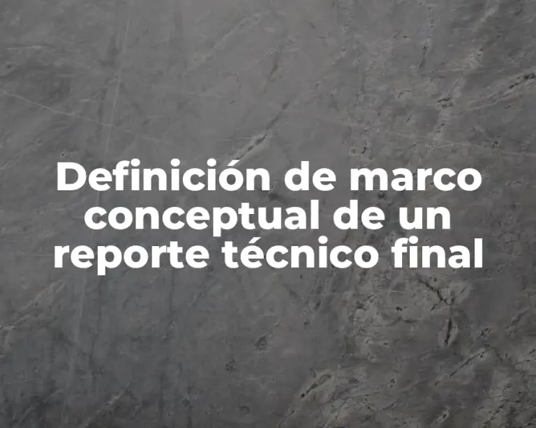 Definición de marco conceptual de un reporte técnico final