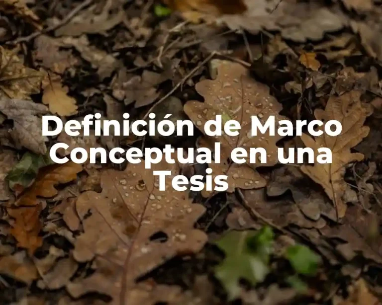Definición de Marco Conceptual en una Tesis