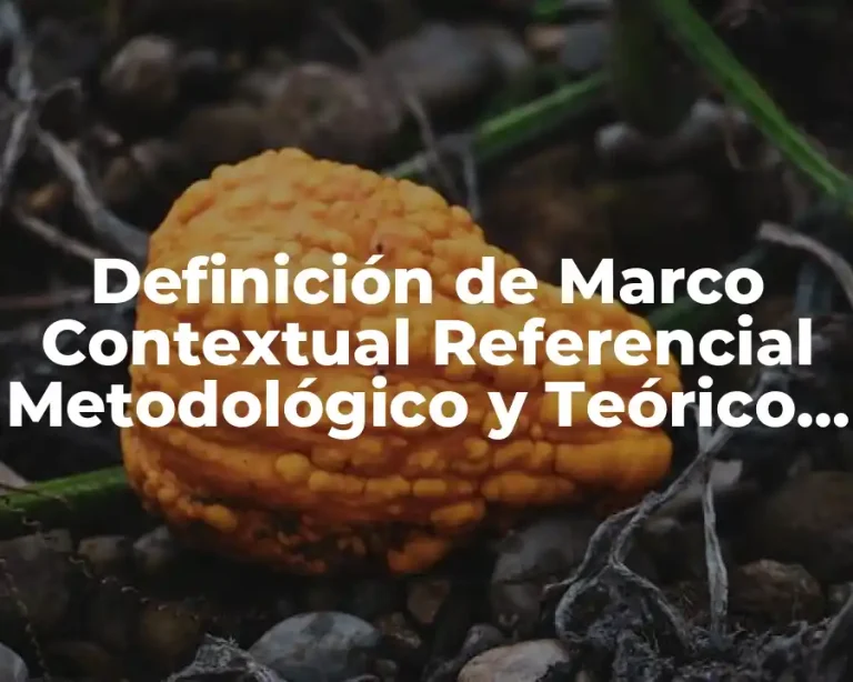 Definición de Marco Contextual Referencial Metodológico y Teórico UAEM