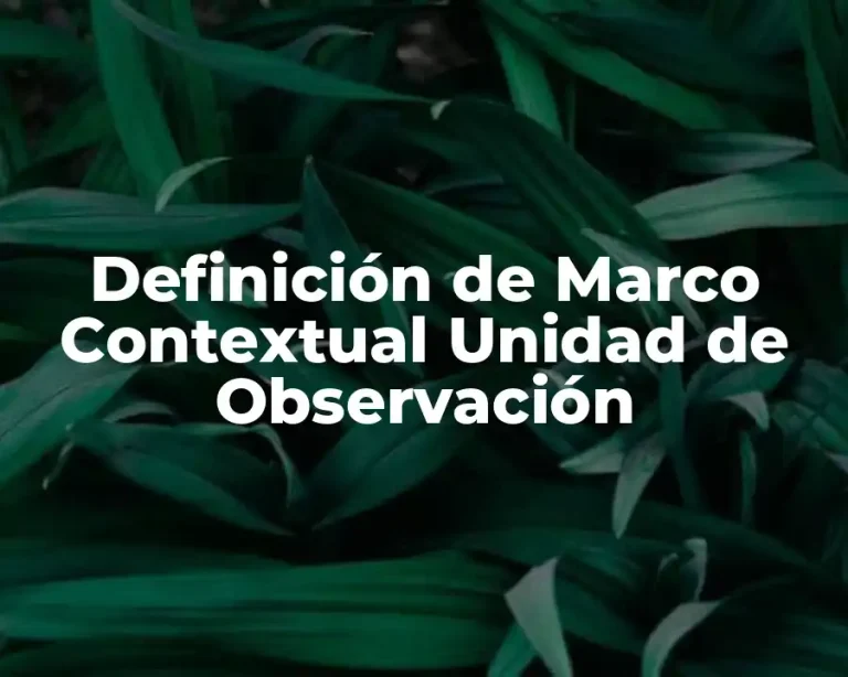 Definición de Marco Contextual Unidad de Observación