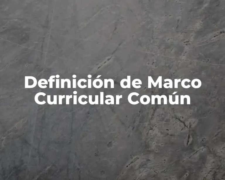 Definición de Marco Curricular Común