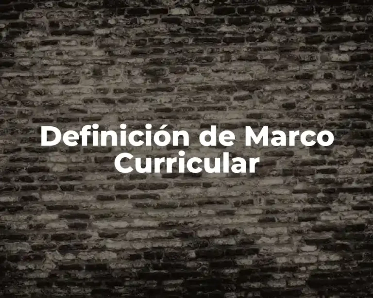 Definición de Marco Curricular