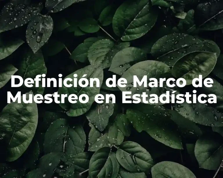 Definición de Marco de Muestreo en Estadística