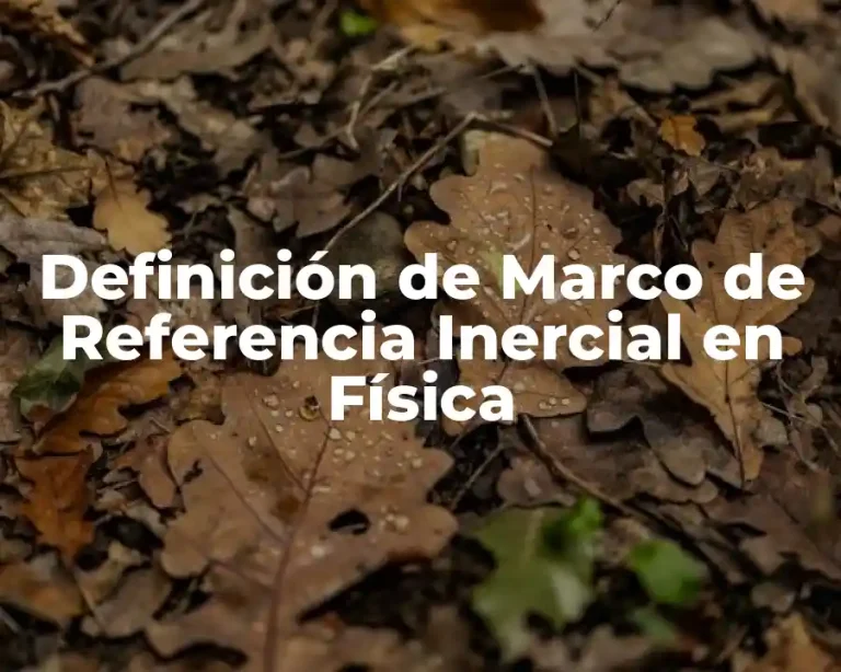Definición de Marco de Referencia Inercial en Física