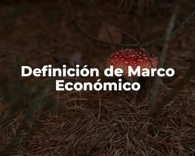 Definición de Marco Económico