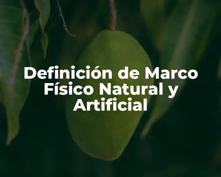 Definición de Marco Físico Natural y Artificial