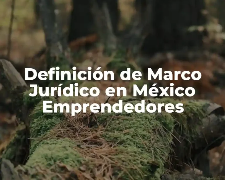 Definición de Marco Jurídico en México Emprendedores
