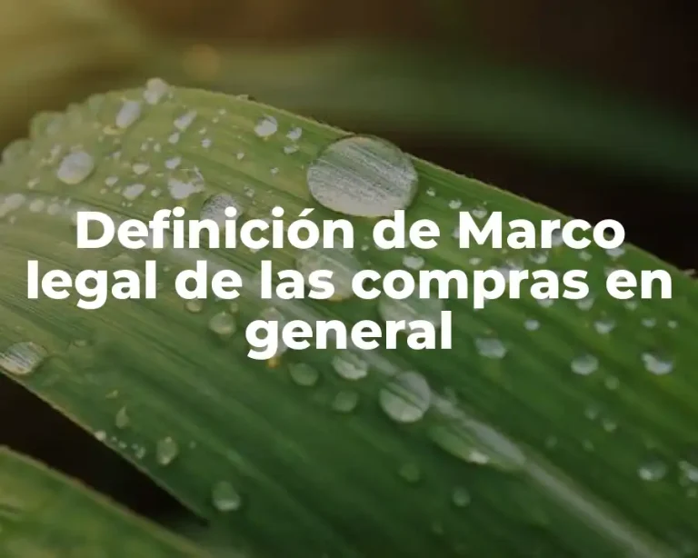 Definición de Marco legal de las compras en general