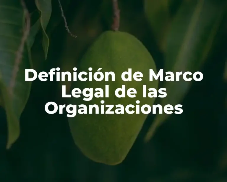Definición de Marco Legal de las Organizaciones