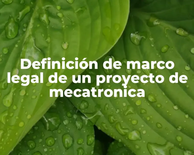Definición de marco legal de un proyecto de mecatronica