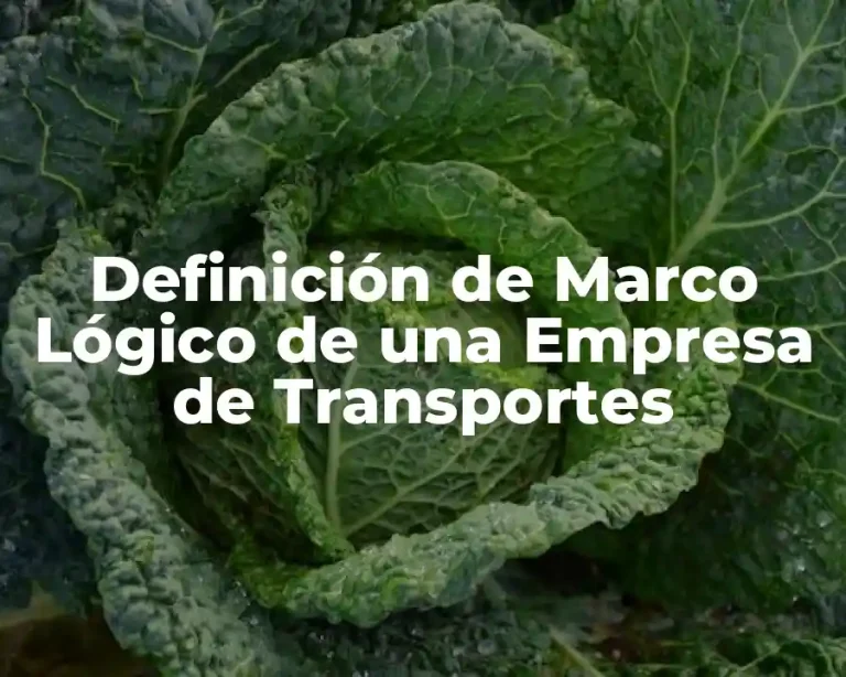 Definición de Marco Lógico de una Empresa de Transportes