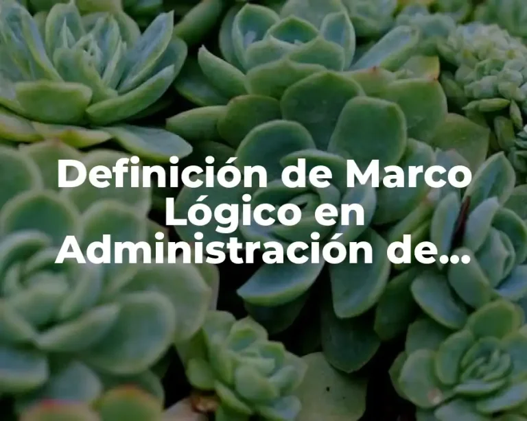 Definición de Marco Lógico en Administración de Comunicadores