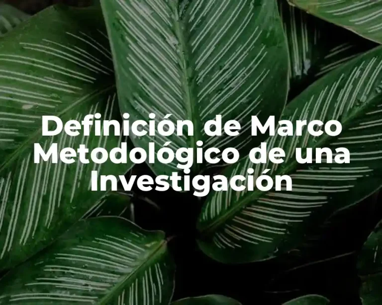 Definición de Marco Metodológico de una Investigación