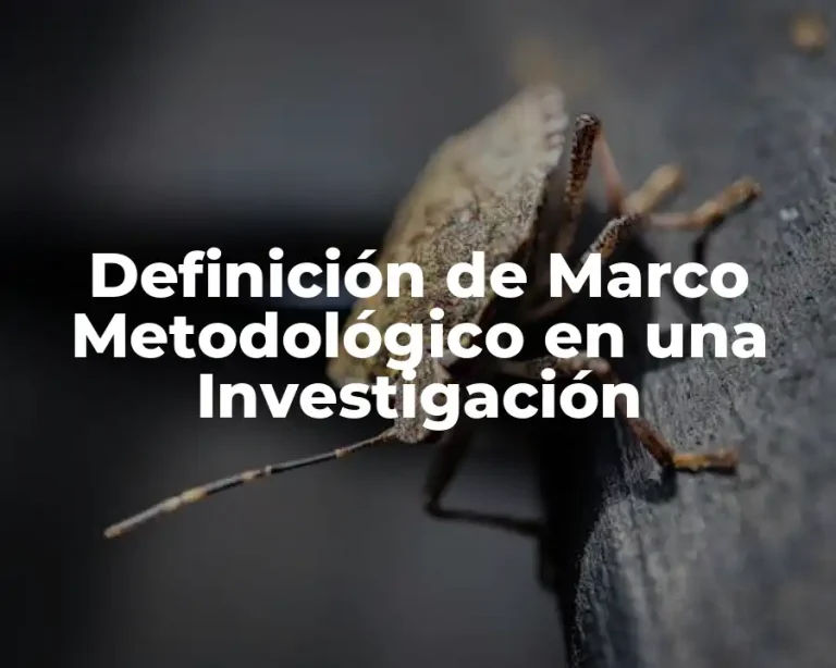 Definición de Marco Metodológico en una Investigación