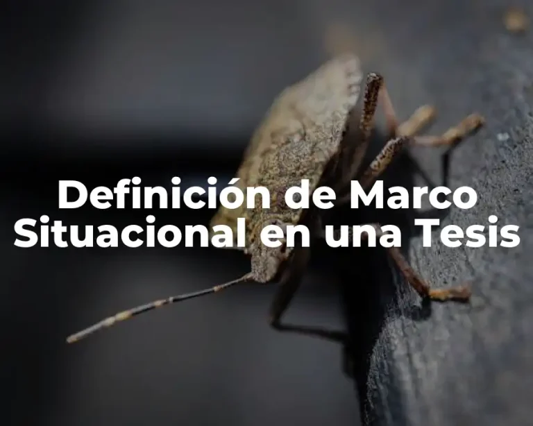 Definición de Marco Situacional en una Tesis