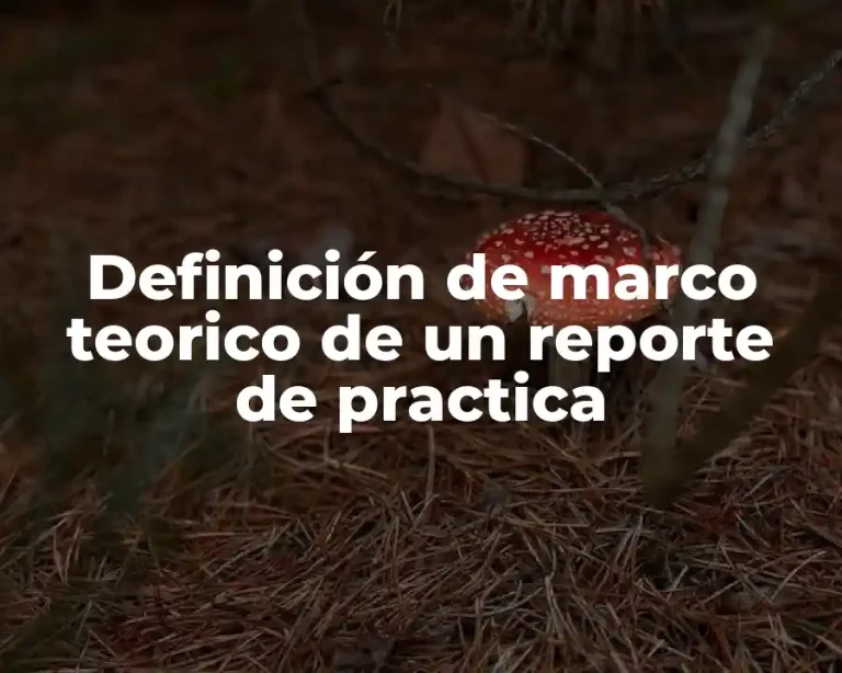 Definición de marco teorico de un reporte de practica