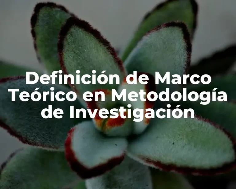 Definición de Marco Teórico en Metodología de Investigación