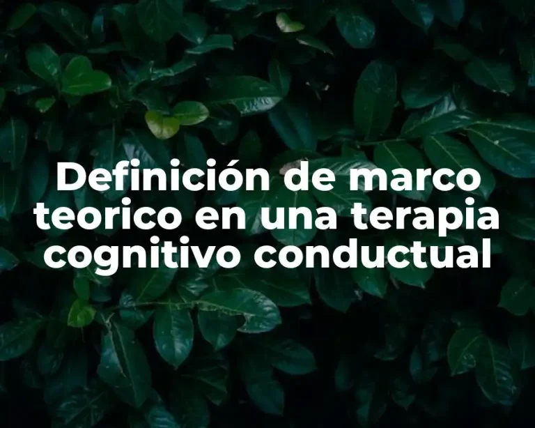 Definición de marco teorico en una terapia cognitivo conductual