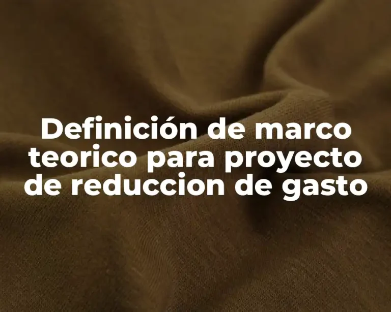 Definición de marco teorico para proyecto de reduccion de gasto