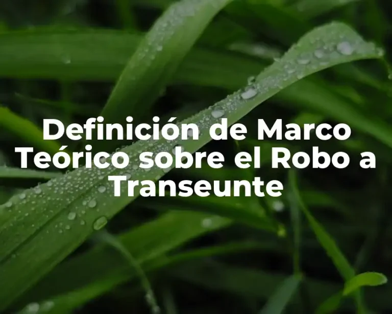 Definición de Marco Teórico sobre el Robo a Transeunte