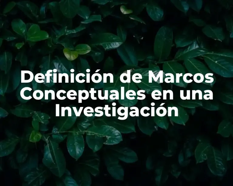 Definición de Marcos Conceptuales en una Investigación