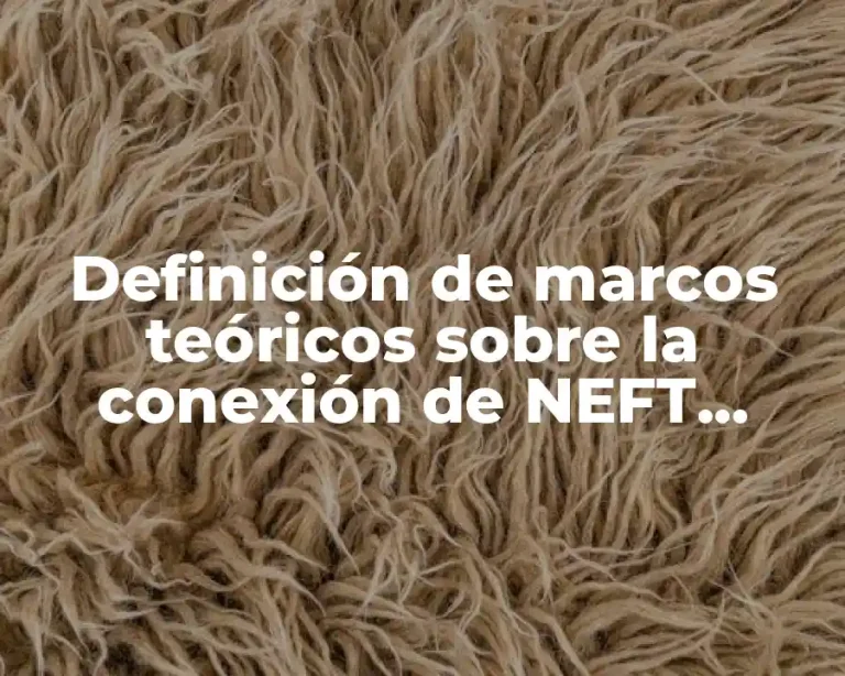 Definición de marcos teóricos sobre la conexión de NEFT Speed